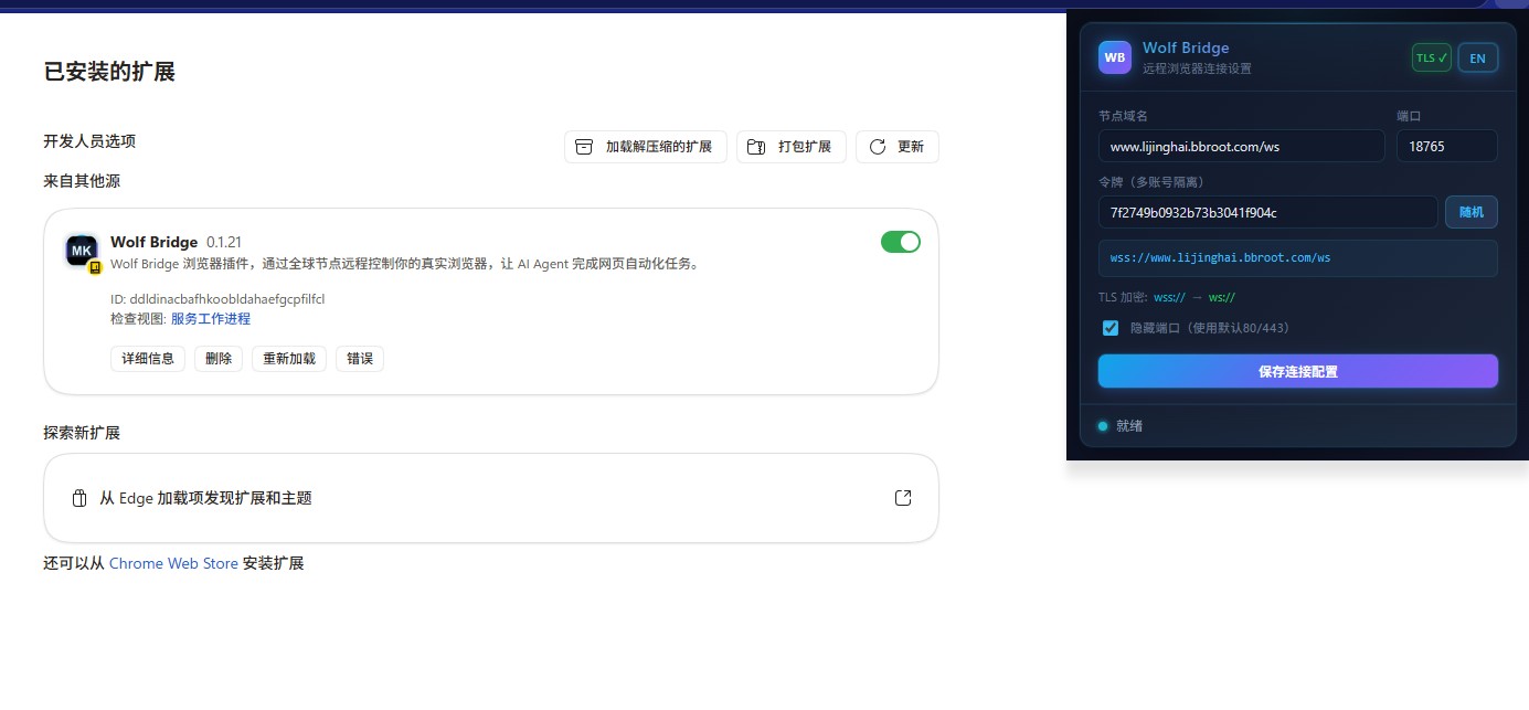 安装浏览器插件